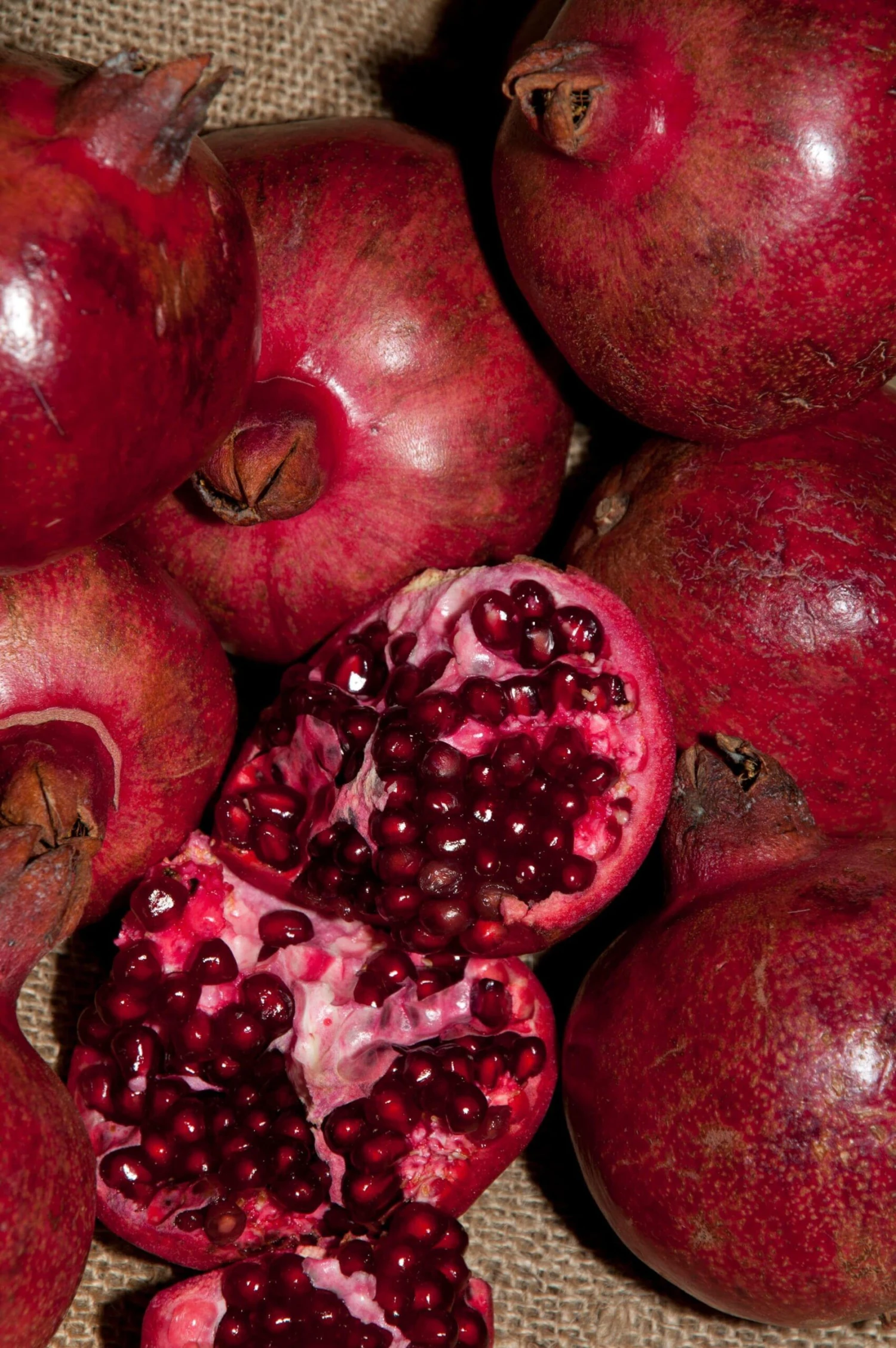 Fruit Tree Home -Fruit Tree Home cranberry 6242a66a 5195 41a5 8937 2ac2b08b806b scaled