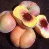 Sweet Bagel Peach 1 Sweet Bagel Peach -Fruit Tree Home httpraintreenursery.netpc545 peach