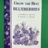 Grow The Best Blueberries 2 Grow The Best Blueberries -Fruit Tree Home image 590a5192 6d87 44ea 935d 55ba56a62e2c 1