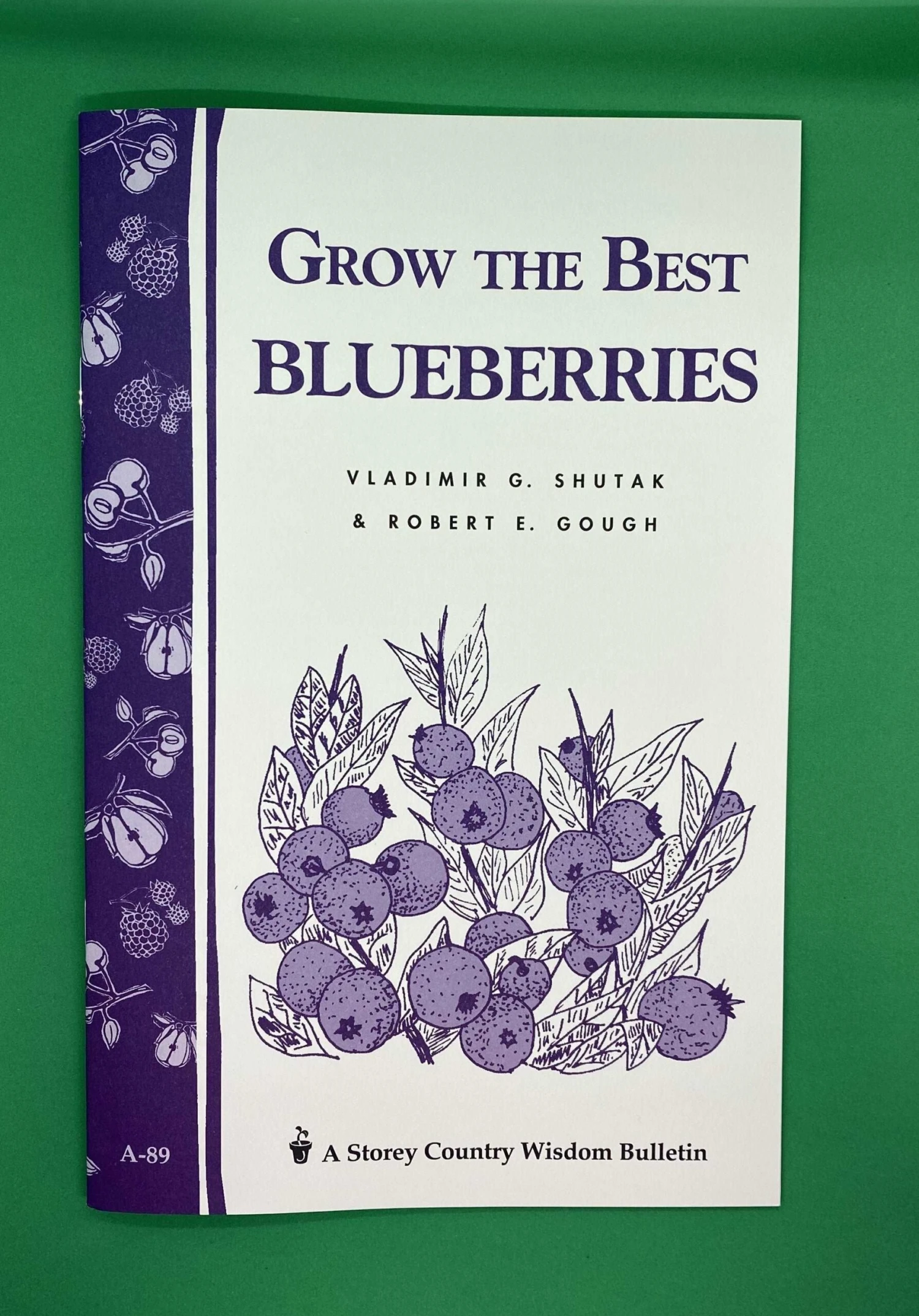 Grow The Best Blueberries 3 Grow The Best Blueberries