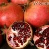 Wonderful Pomegranate -Fruit Tree Home wonderful
